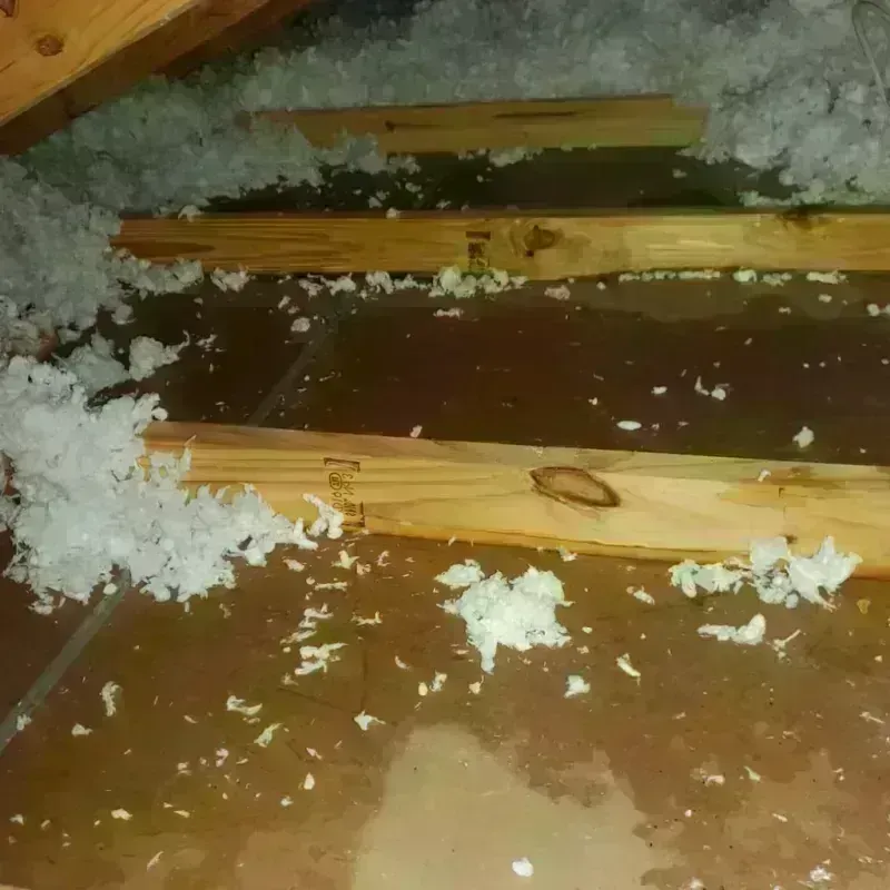 Attic Water Damage in La Center, WA